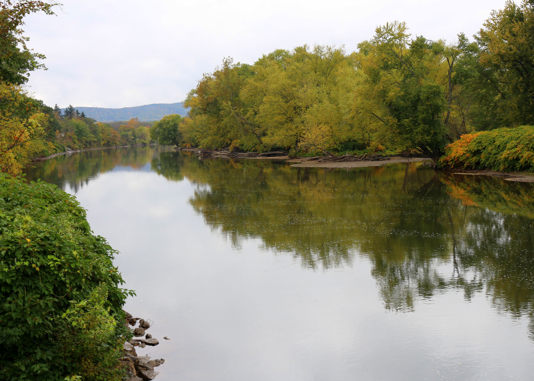 Allegheny River trees still short of peak color in Salamanca